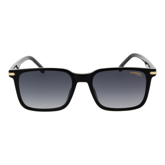 carrera-391-s-538079o_1.png