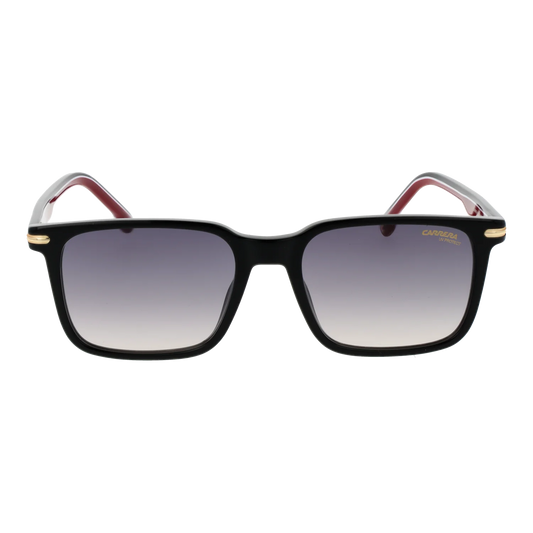 carrera-391-s-53oit9o_1.png