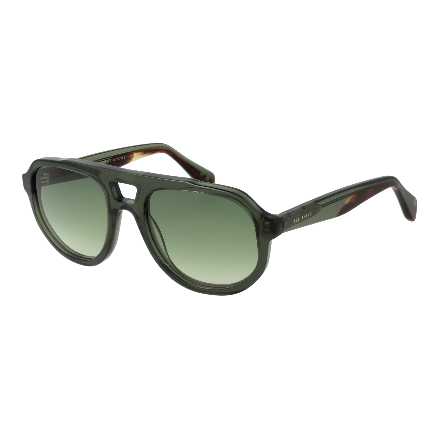 Ted Baker Sunglasses TB1692 590 53