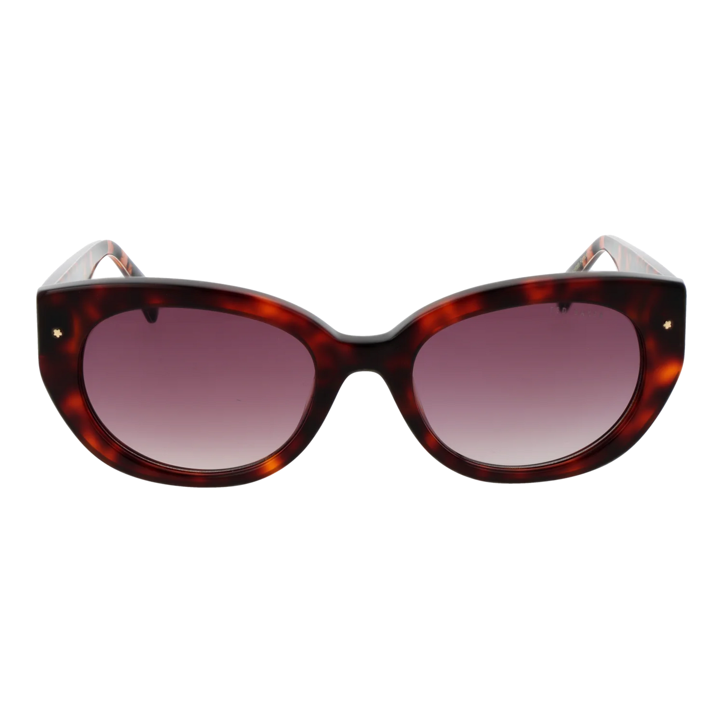 tb1737-53100_1.png